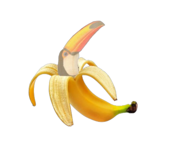 floxschmo tweet media