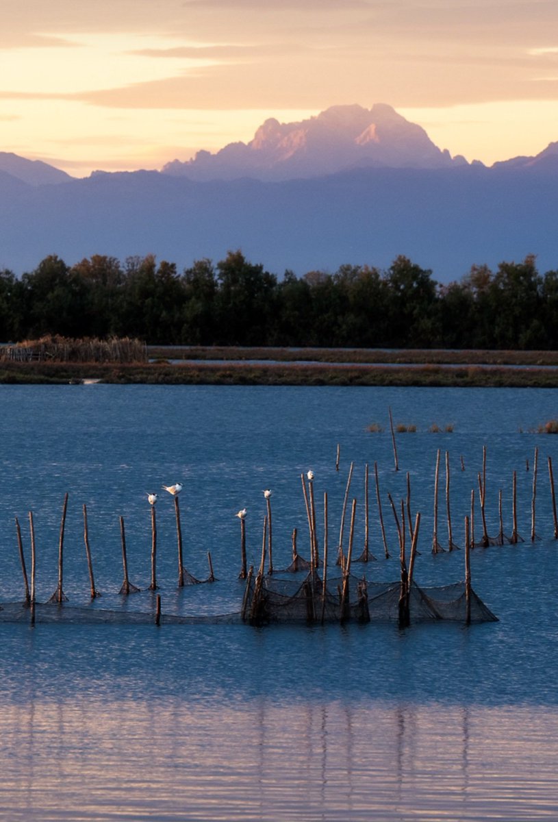 Buongiorno e buon weekend amici miei ☕️☕️😘😘 io me ne torno a letto...ho l'influenza 🫩🫩🫩😆😆😆