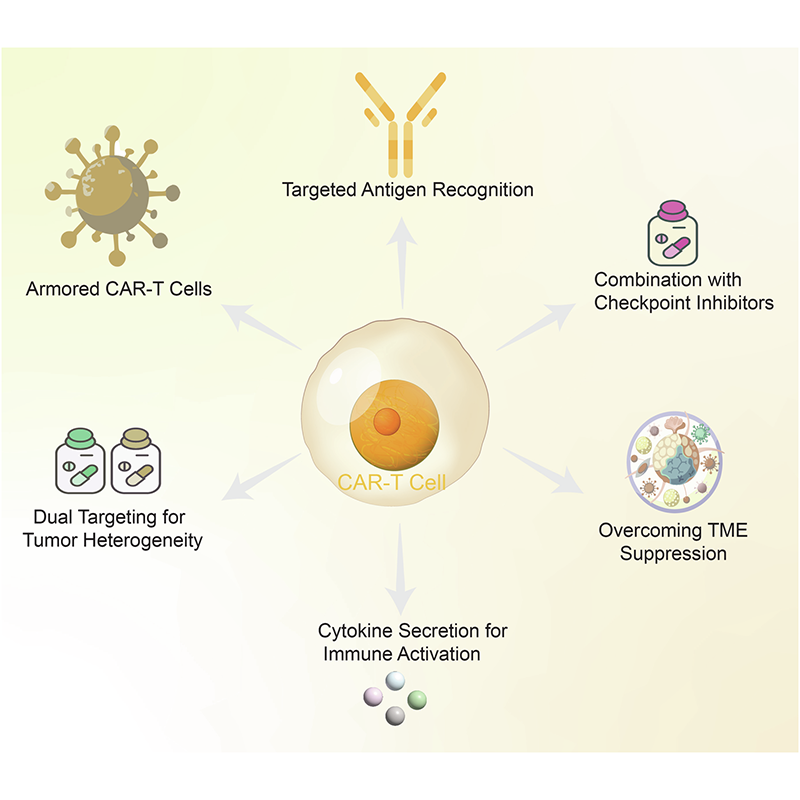 sigtrans_sttt's tweet photo. This review highlights the multifaceted mechanisms of #tumor #ImmuneEvasion, including checkpoint regulation, #TumorMicroenvironment dynamics & #MetabolicReprogramming, while discussing emerging #immunotherapies to curb resistance.
#STTT #OpenAccess: https://t.co/XyhE8uHY9J https://t.co/OO8jWjaOEr