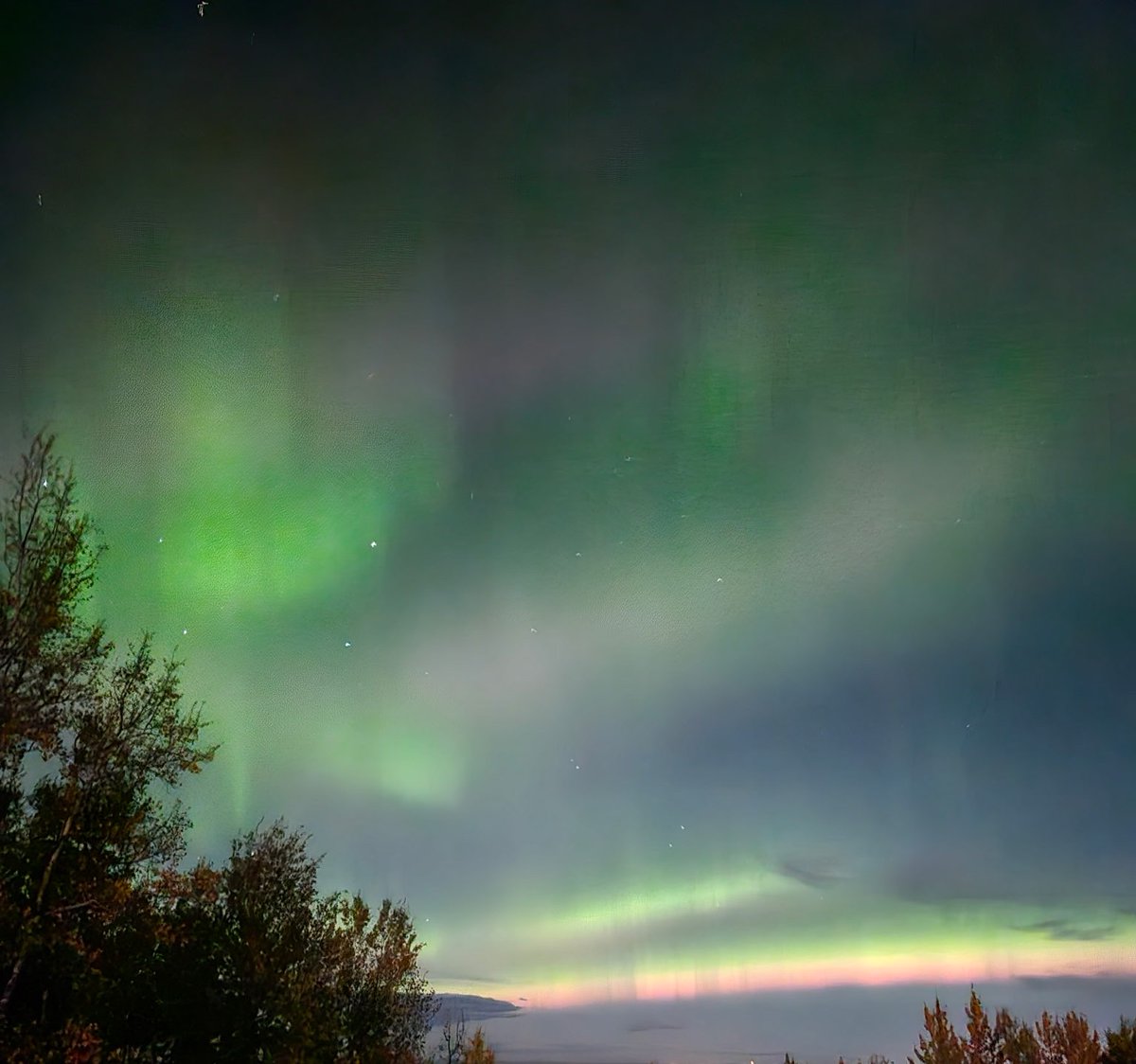 Sigurd the Mighty tweet media