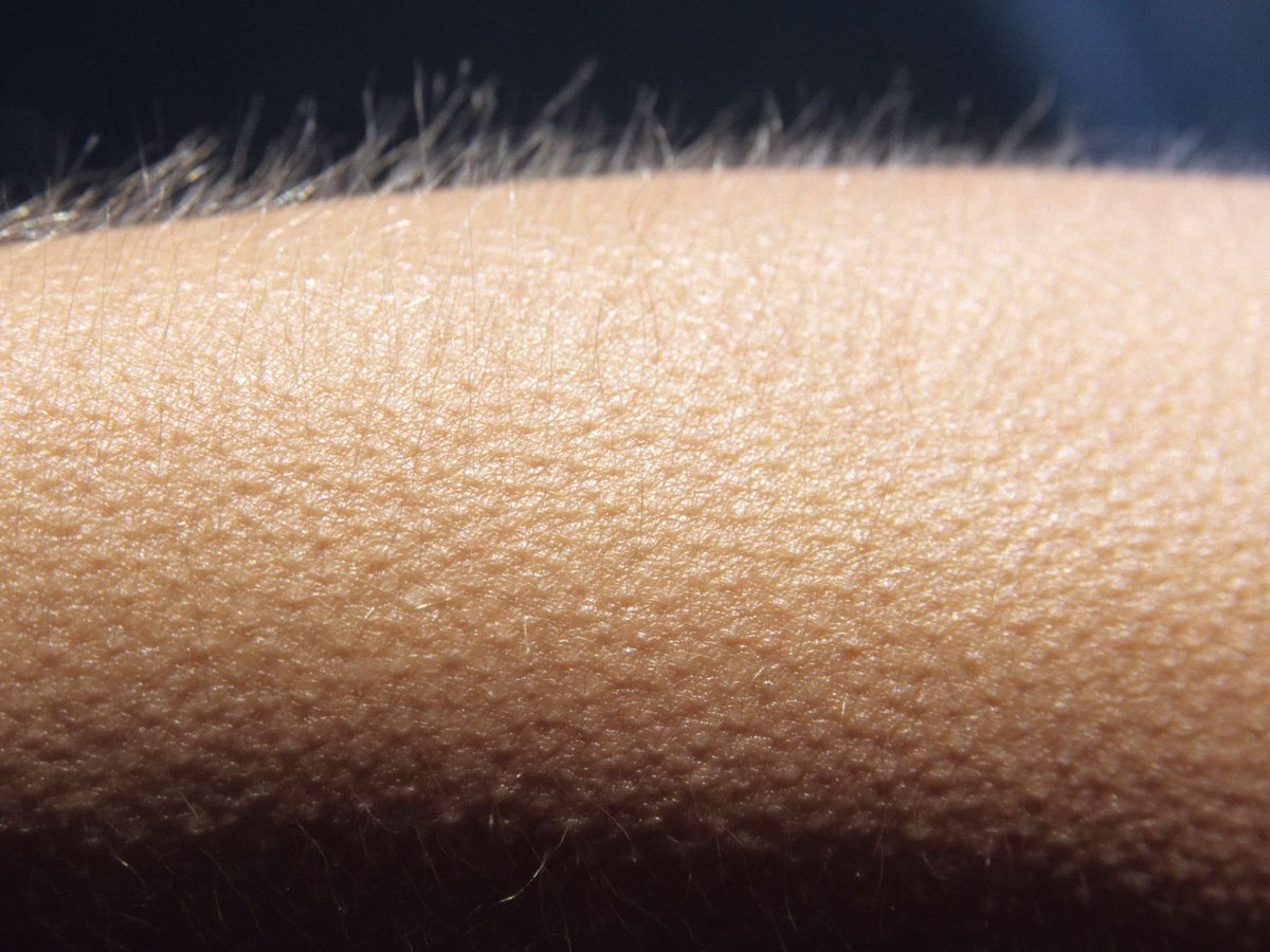 trip_pim's tweet photo. @malbecswift La idea de escuchar the chain por primera vez https://t.co/nAMwiFiFWl