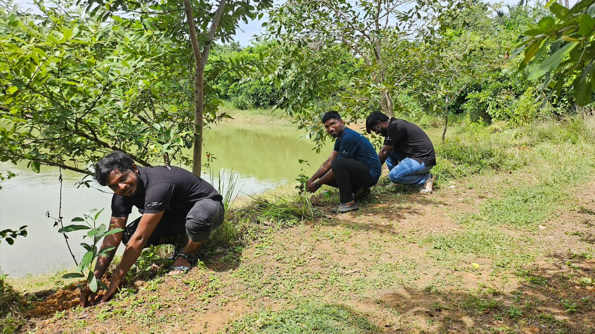 On Sept 22–23,  130 <a href="/tata_comm/">Tata Communications</a>  volunteers planted 220 indigenous seedlings (18 species) at Nanneer, Upparapalayam Lake, Pothur — restoring green cover &amp; strengthening the lake’s habitat. Local BDO Gnana Sundari  joined the drive.