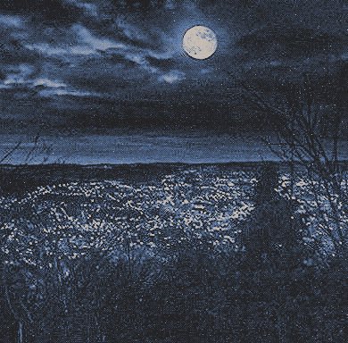 ‍ ‍ ‍ ‍ ‍𝒉𝐚𝐲𝐝𝐞𝐧 𝒓𝐨𝐦𝐞𝐫𝐨. tweet media