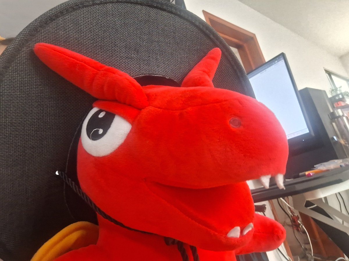 Lucky buchon es una realidad