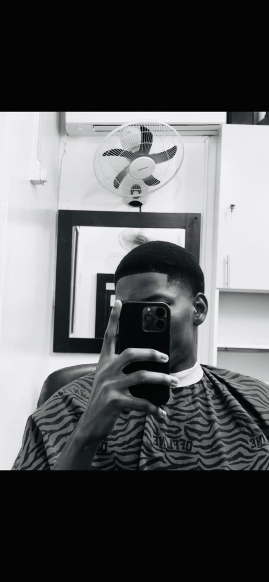 Haven4l 🐺 tweet media