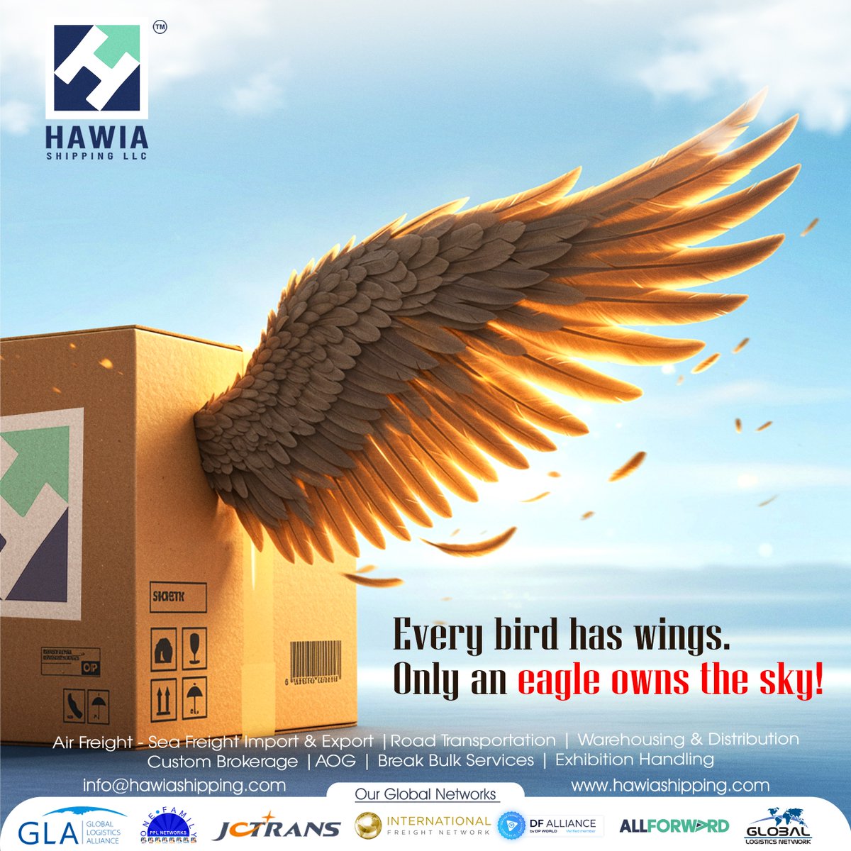 hawia tweet media