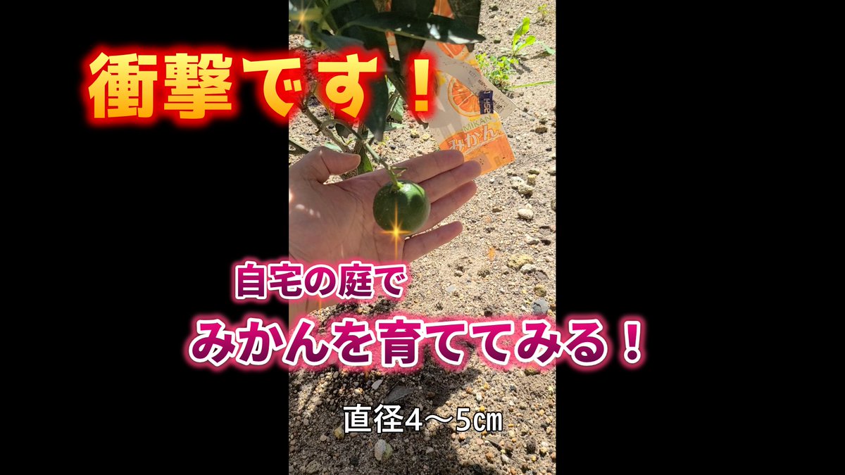 まっく tweet media