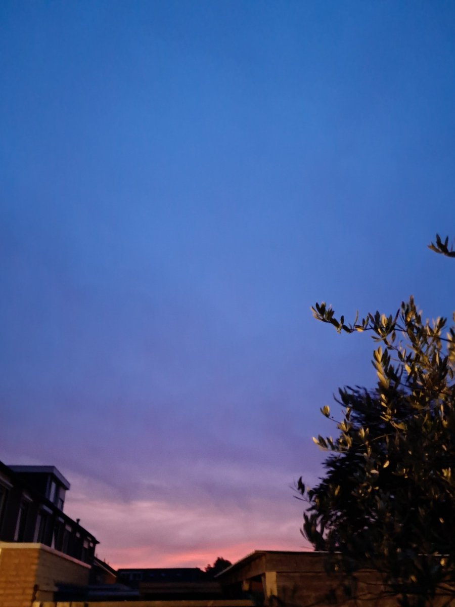 De dag is onderweg. Goedemorgen...