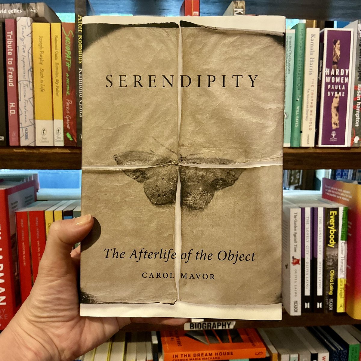 Anna has read &amp; loved Carol Mavor’s Serendipity.

This is a treasure trove of a book, impossible to summarise, which I know I’ll return to again and again.

🦋