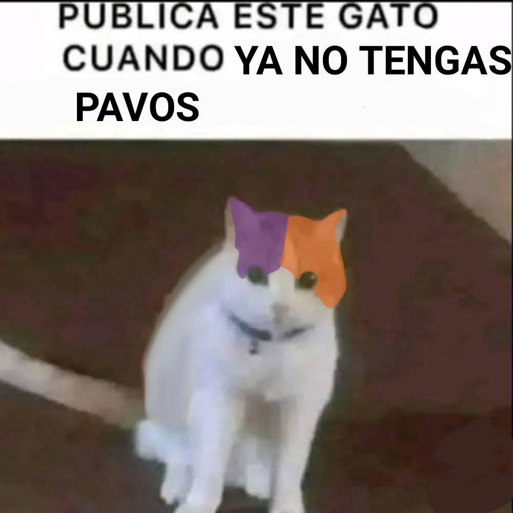 KarlaV220 ❤️🏳️‍⚧️ (@karlav220) on Twitter photo 