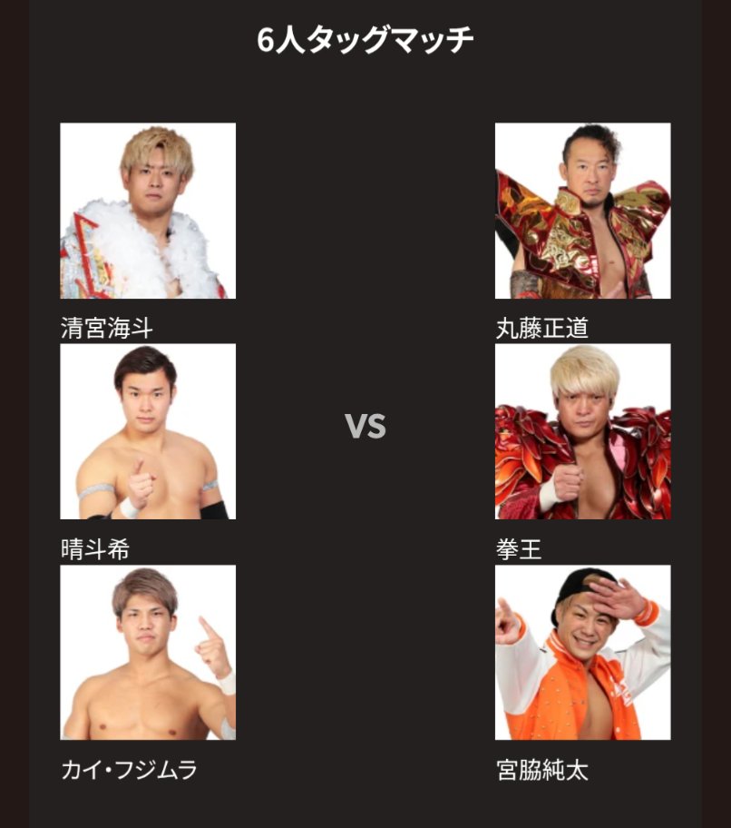 WWE マテル　丸藤正道　エリートタイプ　カスタムフィギュア WWE マテル エリート 丸藤正道 カスタムフィギュア