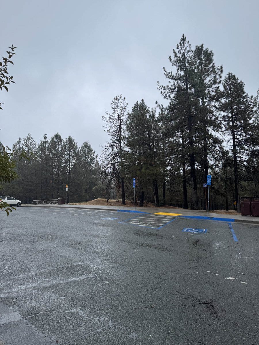 66BooksLifeRecovery tweet media