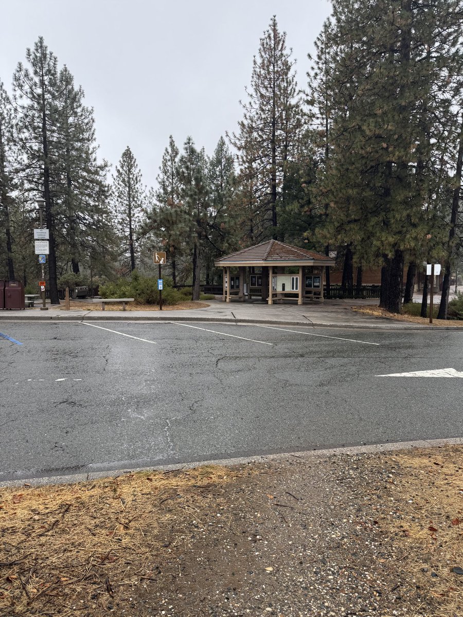 66BooksLifeRecovery tweet media