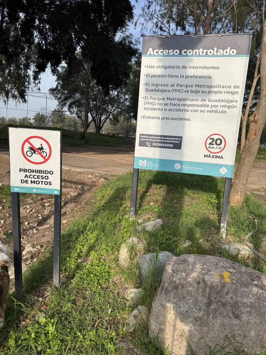 Fernando Ronquillo C tweet media