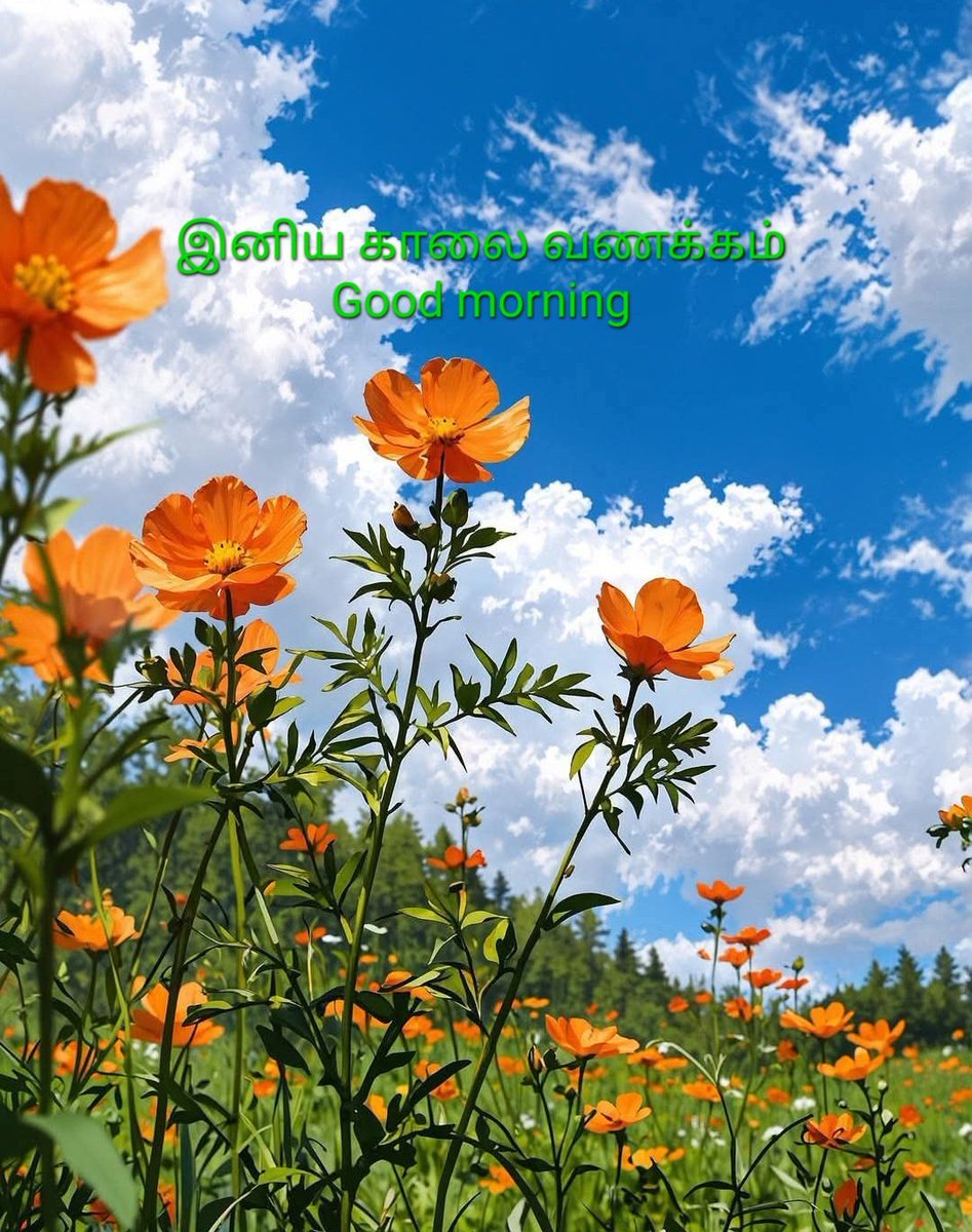 ssnesan tweet picture