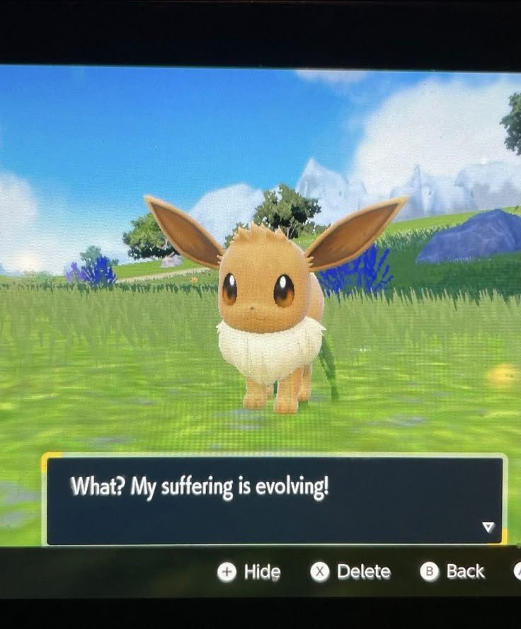 Stephanie Liscio tweet media