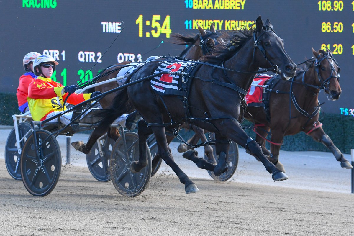 Dynamitedan and Degarmea Teale progressed in the NSW Breeders Challenge 2yo series with impressive heat wins at Menangle on Monday (September 29).

Read more: tonkinstewartracing.com/latest-news/ts…