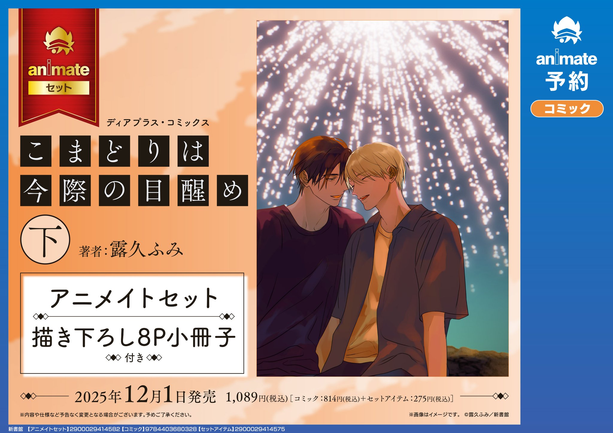 商業BL まとめ売り 25冊セット アニメイトなど　特典ファイル付き 商業BL まとめ売り 25冊セット アニメイトなど 特典ファイル付き