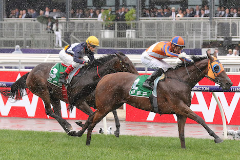 Black Type Racing tweet media