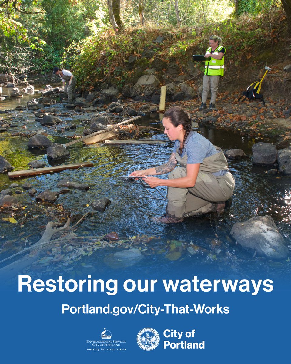 PortlandGov's tweet photo. The City is proud to stand with you, delivering services that keep our community strong and moving forward.
https://t.co/Ah8ioXWeGH
#Portland #LovePortland #SanctuaryCity #PortlandStrong #ThisIsPortland https://t.co/DYQai7MW2j