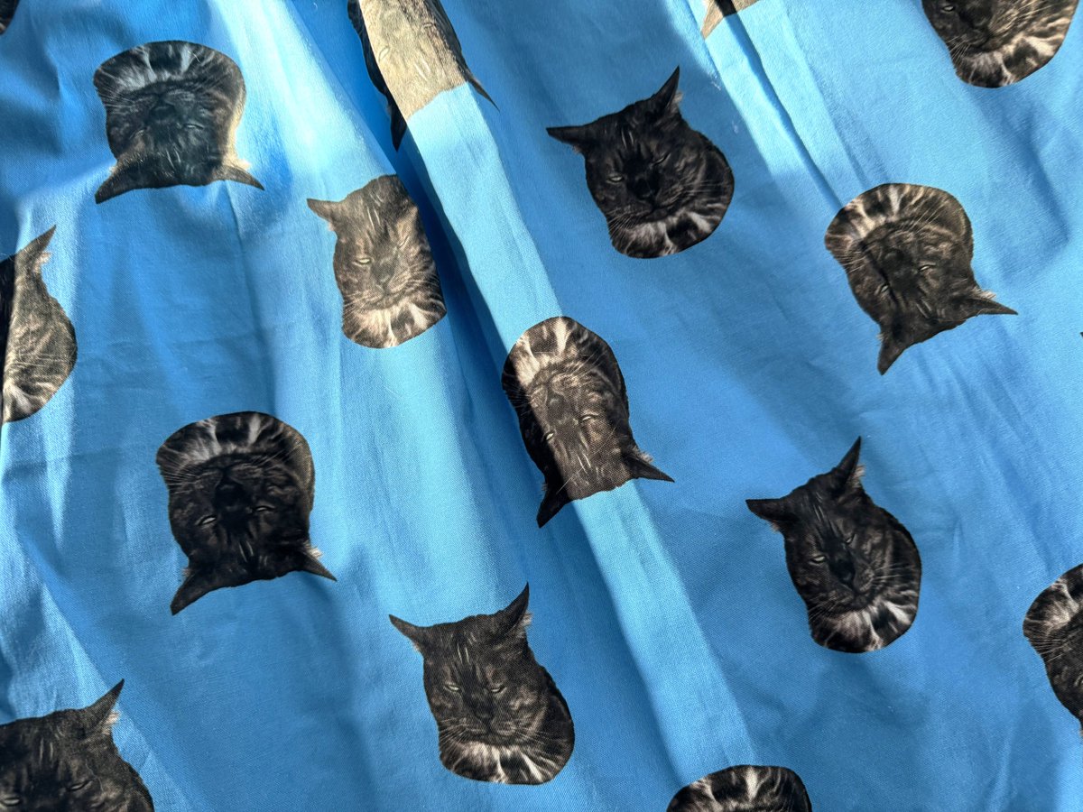 徒然猫屋。😺10/9-14吉祥東急ねこ展10/19ニャンフェス10/22