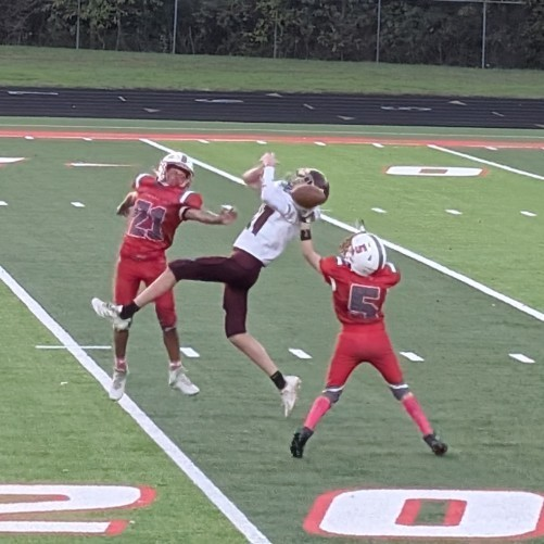 Reeds Spring MS tweet media