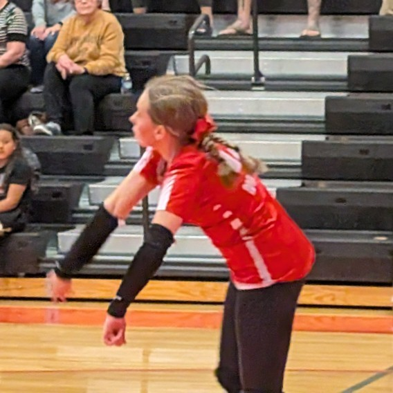 Reeds Spring MS tweet media