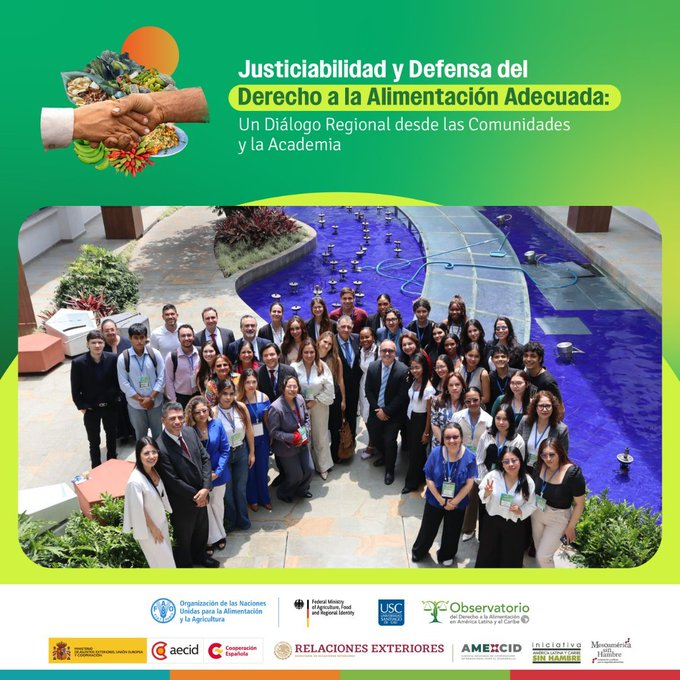 FAO_Colombia's tweet photo. @FAO @ODA_ALC @ALCsinhambre @FAOCampus @silviajserranog @angelareyes1208 @valle_agro @OscarParraVera @josegreghg @Tania_GuzmanP @CorteIDH_SOI @terrerosfer @ferrandotom @JuanEchanoveEch ✅"Consensos, hoja de ruta y capacidades articuladas son parte de los logros de este primer evento sobre #AlimentaciónYJusticiabilidad", explicó Ángela Rivera @FAO 🇨🇴, invitando a más actores a sumarse para avanzar en la garantía progresiva del #DerechoALaAlimentación en ALC🌎. https://t.co/wKZhGvS9f3
