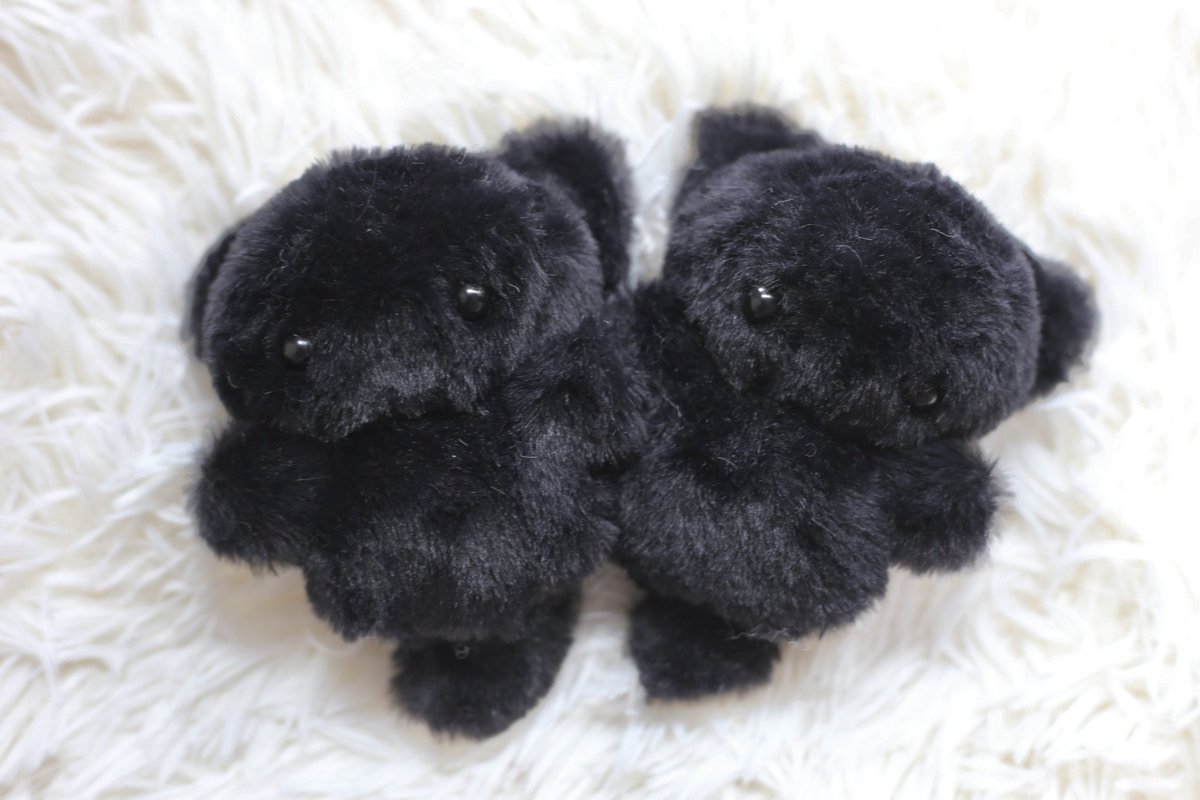 サクラギ໒꒱· ﾟ10/5わーみC01.02 (@219227_) / X