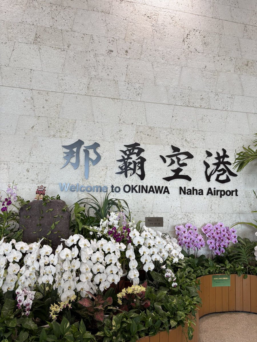 LLC_ryukyu's tweet image. 東京に行くのだけれど🌺