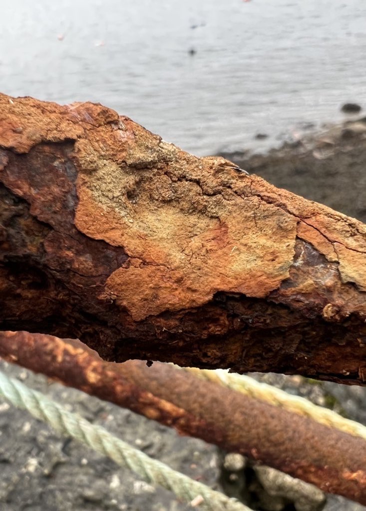 wapple15's tweet image. From the #FerrousFriday files. #Rusty  #PMJWeeklyChallenge