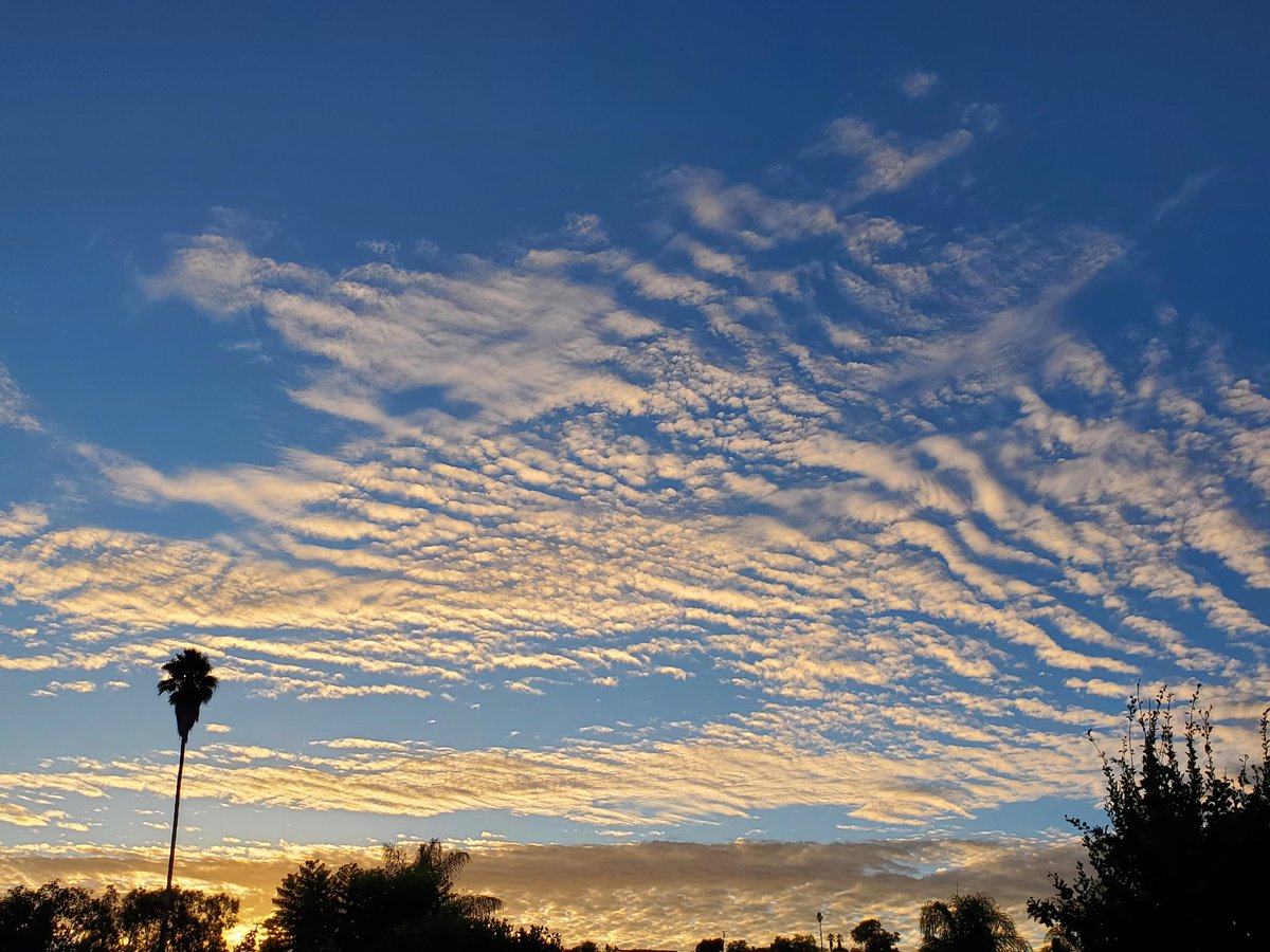 seanpeer3's tweet image. Looking up.!
