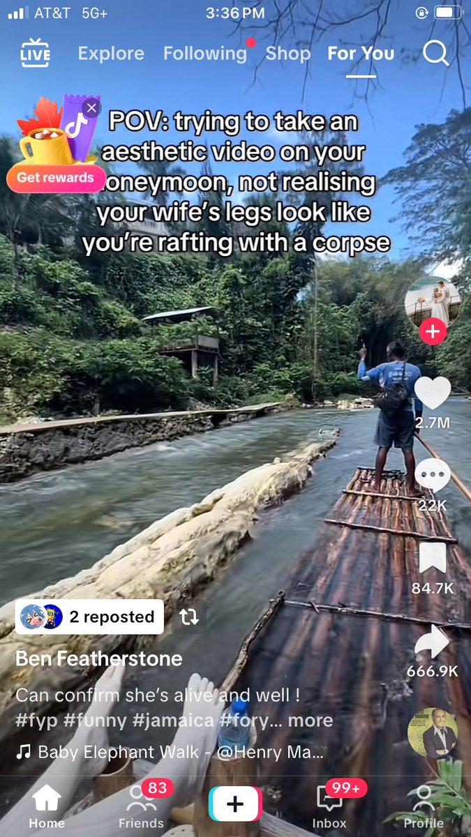 This is what a domestic Avismajor is to me