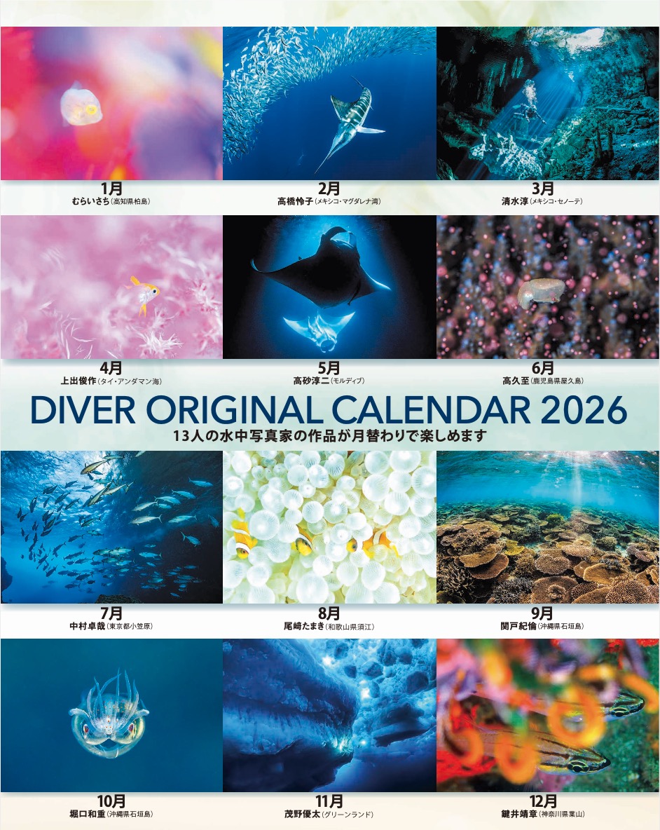 divermag_jp's tweet photo. ＼お待たせしました‼️予約販売をスタート✨／
DIVERオリジナルカレンダー2026
今年ももちろん販売いたしますよ〜💪
13名の有名水中カメラマンによる美しい海写真とともに、来年も素敵な一年となりますように…
みなさまからのご注文をお待ちしています🤗
https://t.co/3K8Lp4VZk5 https://t.co/XcSUQAYDGz
