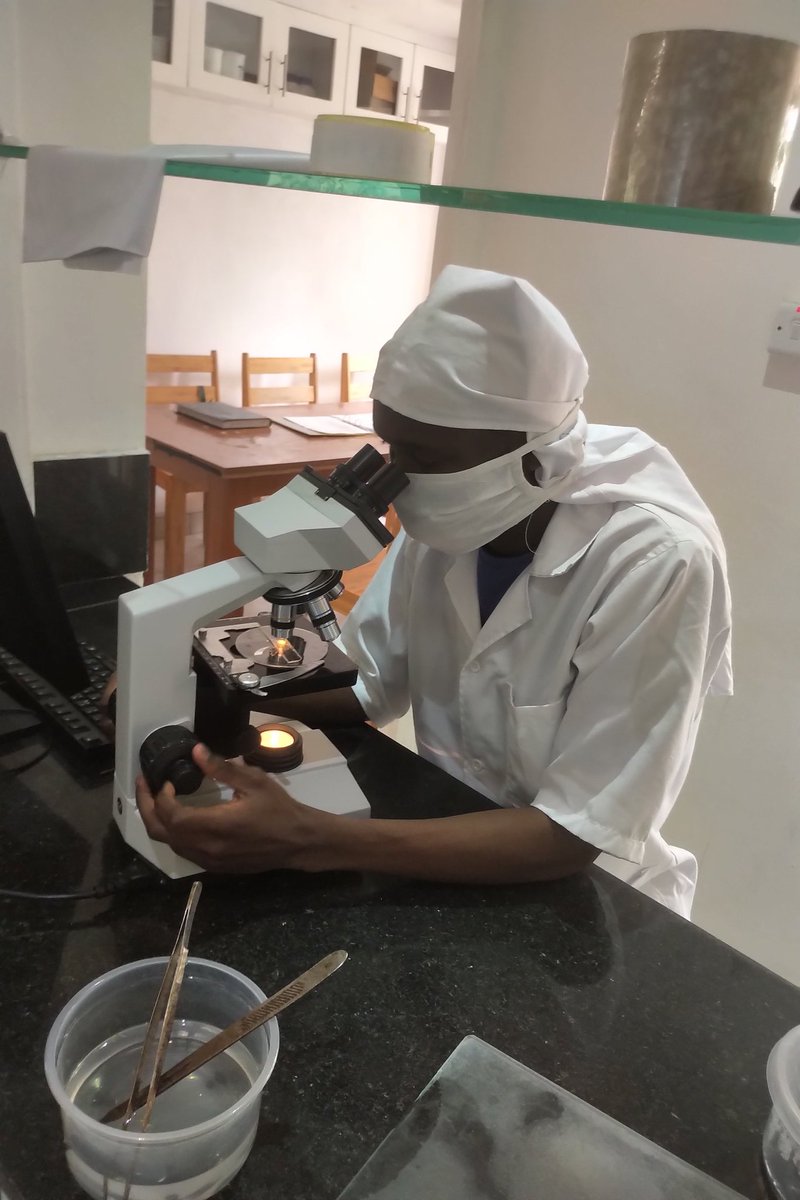 Kitil Farm tweet media