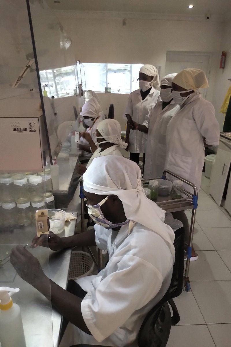 Kitil Farm tweet media