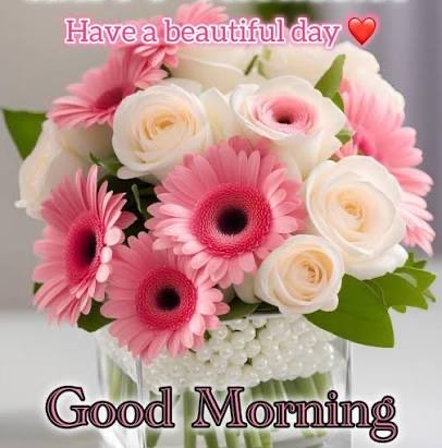 SukantCSahoo's tweet photo. @YumiFujii4 Good morning 🌞 https://t.co/XR6vSFij4v