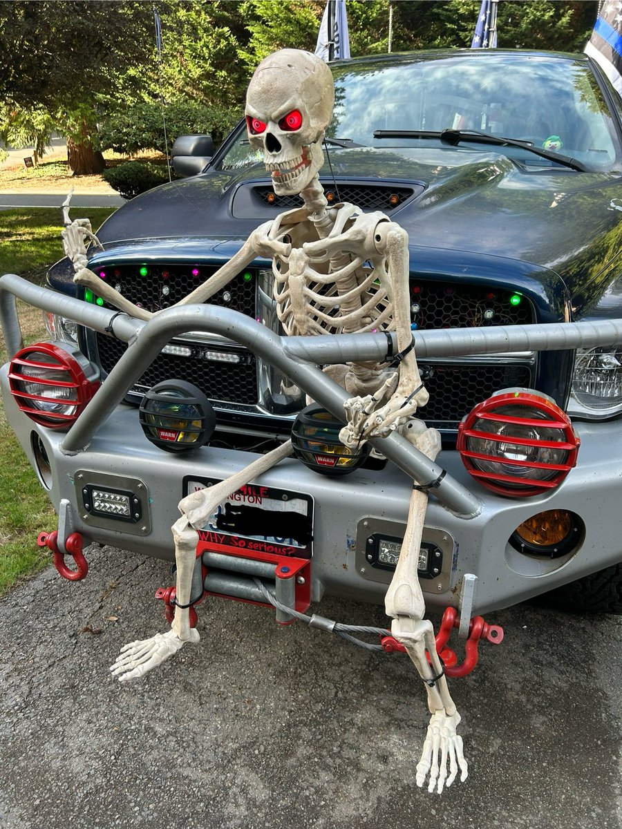 FlagsTed's tweet image. All decked out for Halloween😂