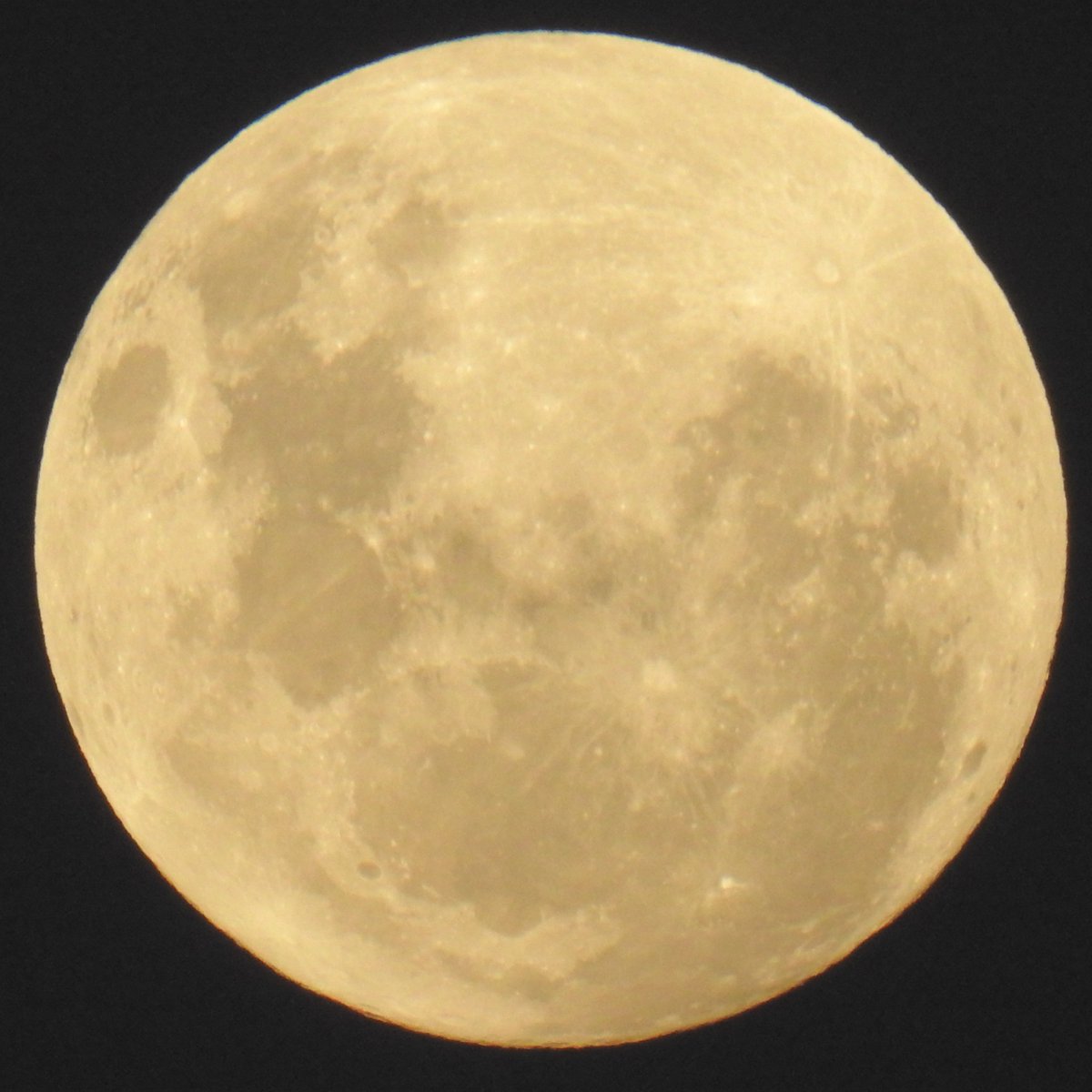 James Hawke tweet media