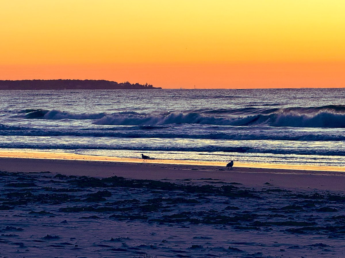 The golden hour in the early morning hours is a special time of the day, a fresh start. #relaxation #maine #sunrise #ocean #beach