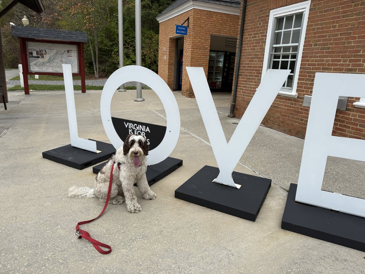 John Repique tweet media