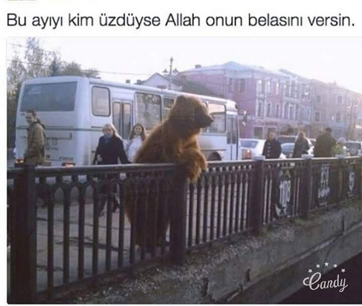 Emir (@hx__emir) on Twitter photo 