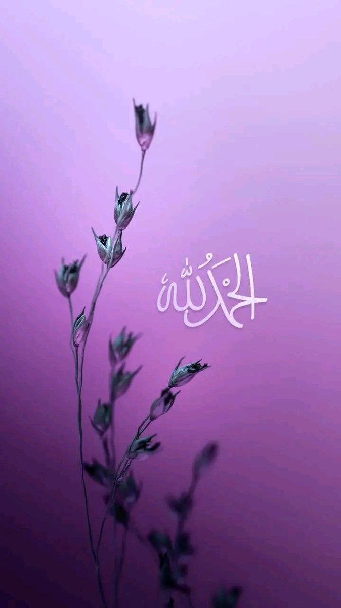 دعوة فجرية
"يارب وأنا المتعب الذي قصد بابك، أعوذ بك من أن تبهت ألوان قلبي وينطفئ ضوء عيني. يارب لا تدع الدنيا الفانية تثقلني بالحزن وتؤذيني".
