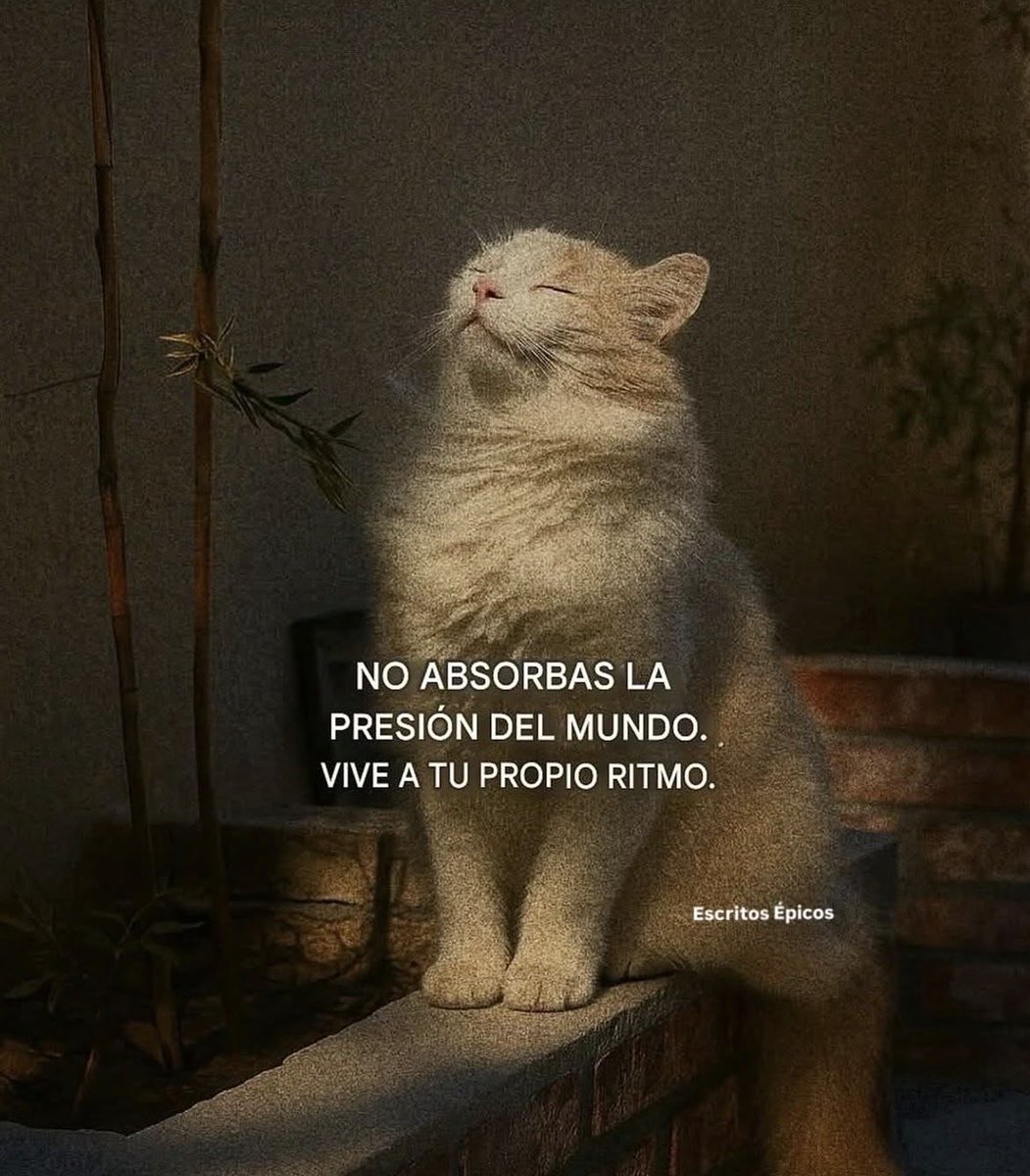 itextosoff's tweet photo. https://t.co/Rj3neF0qvP