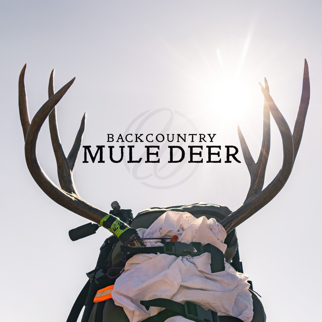 weatherbyinc's tweet image. Want to win some free Weatherby merch??

Right now our latest film is live on our YouTube page. All you have to do is go drop a like and comment on it and you're entered! Check your comments tomorrow to see if you won! 

youtube.com/watch?v=TV4FXs…
#Weatherby