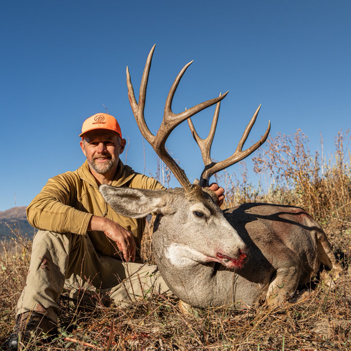 weatherbyinc's tweet image. Want to win some free Weatherby merch??

Right now our latest film is live on our YouTube page. All you have to do is go drop a like and comment on it and you're entered! Check your comments tomorrow to see if you won! 

youtube.com/watch?v=TV4FXs…
#Weatherby