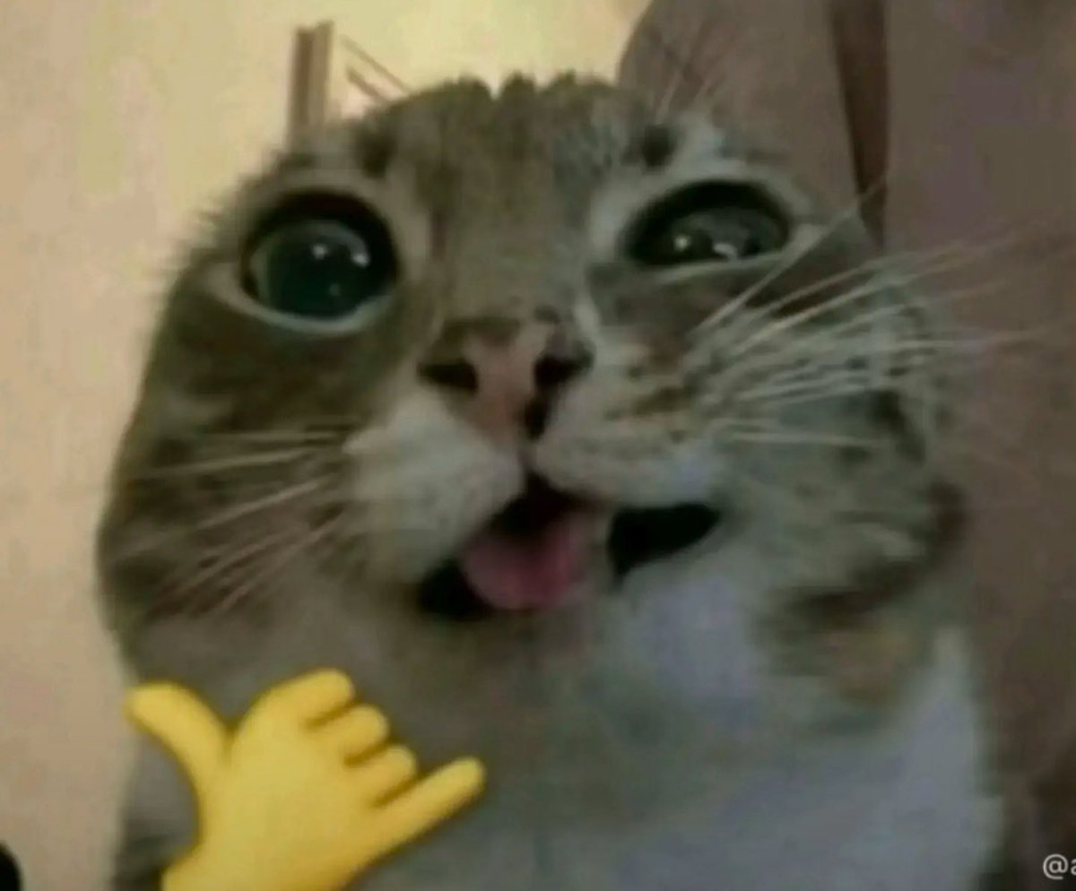 ⚜️IQ ŁĘGÉÑD M⚜️ tweet media