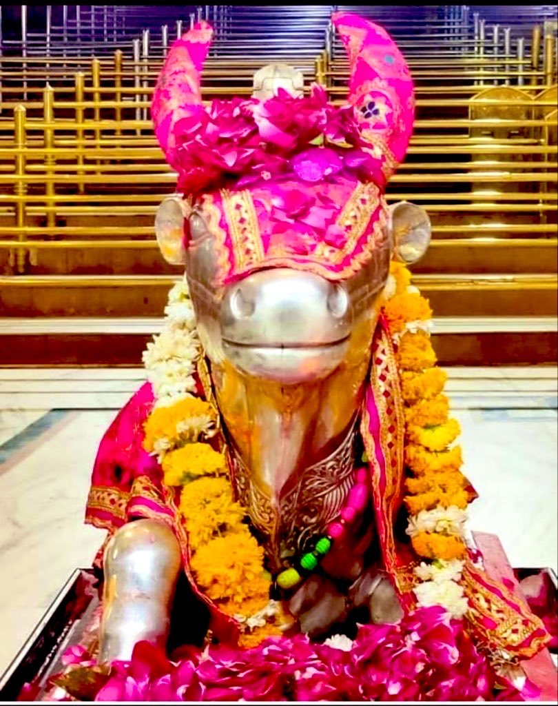 SUBRATSMSM's tweet photo. 🙏🏻🌹 *जय श्री महाकाल*🌹🙏🏻
*श्री महाकालेश्वर ज्योतिर्लिंग का आज का भस्मारती शृंगार दर्शन*🚩🚩
 *🔱०३ अक्टूबर २०२५ (शुक्रवार) 🔱* https://t.co/Ya6eMmc1cg