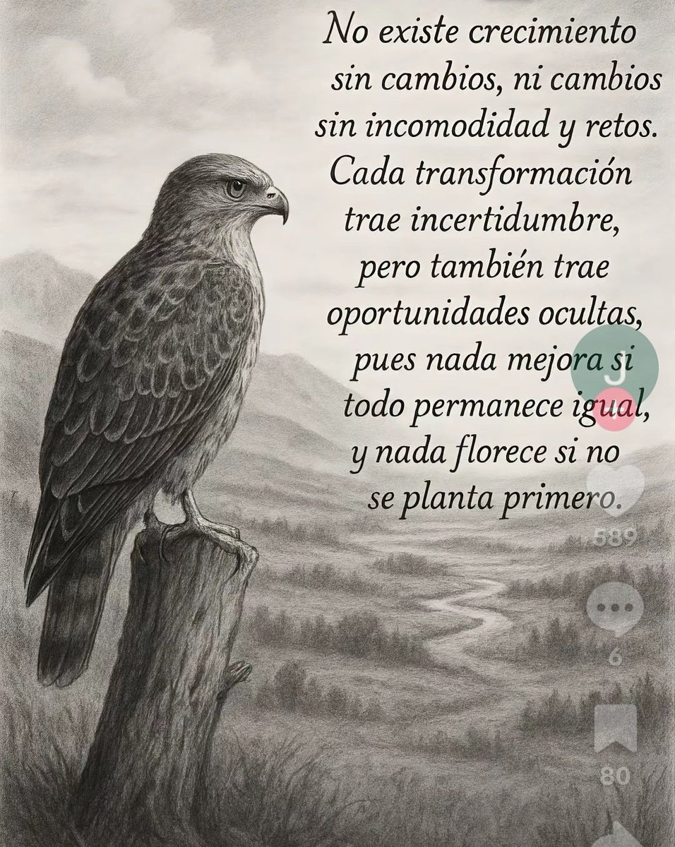Que pasen una noche tranquila,  bendecida , dulce y  cálida. Feliz descanso 🌙😘