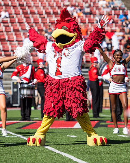 Jok Harris tweet media